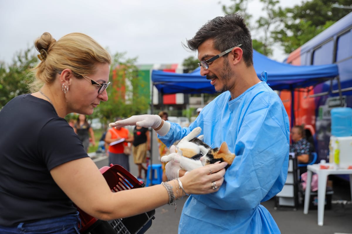 Criciúma promove ação de castração de animais no bairro São Sebastião